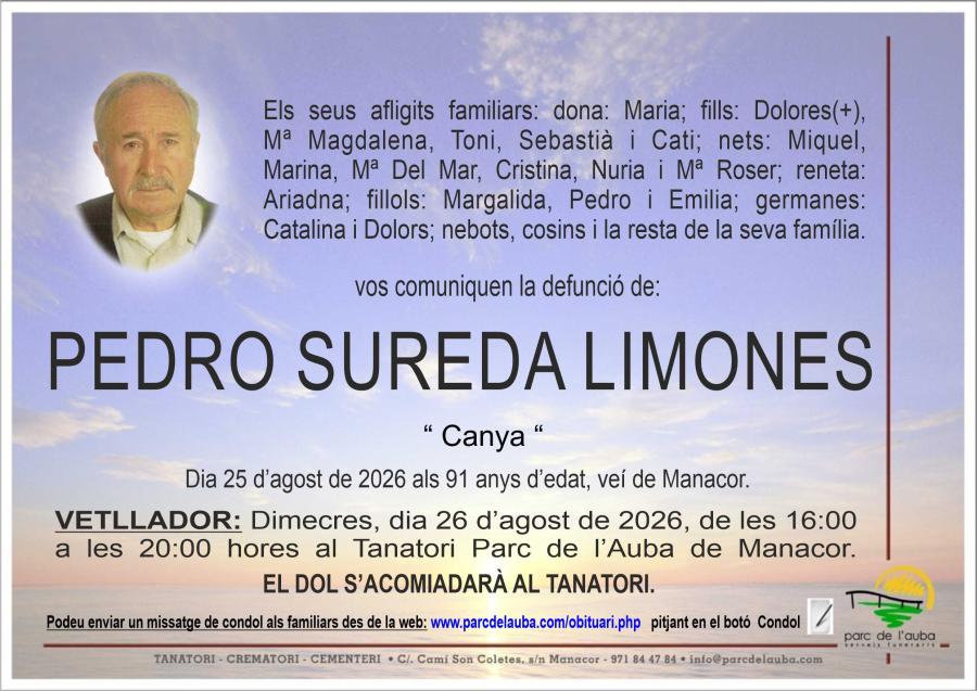 PEDRO  SUREDA LIMONES