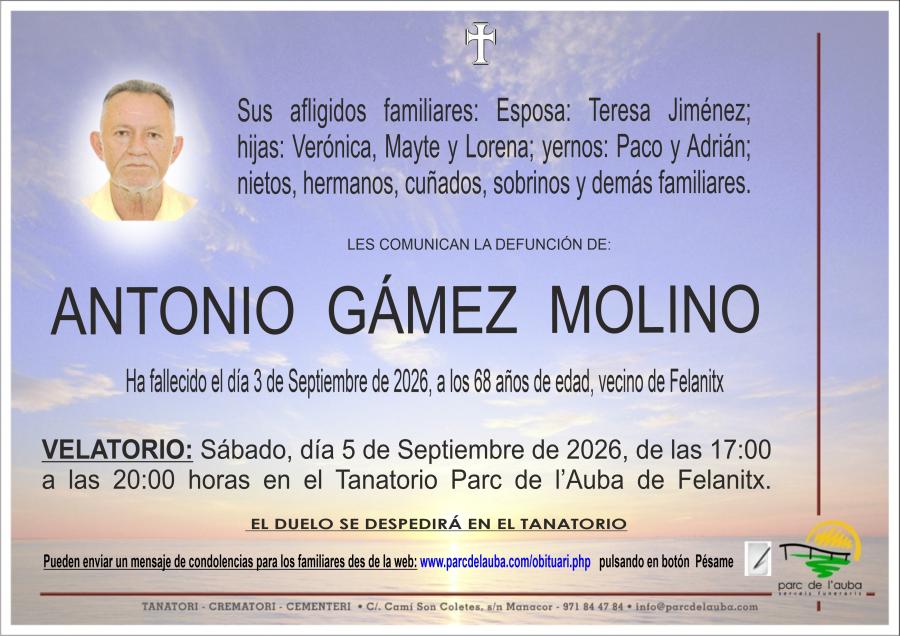 ANTONIO GÁMEZ  MOLINO