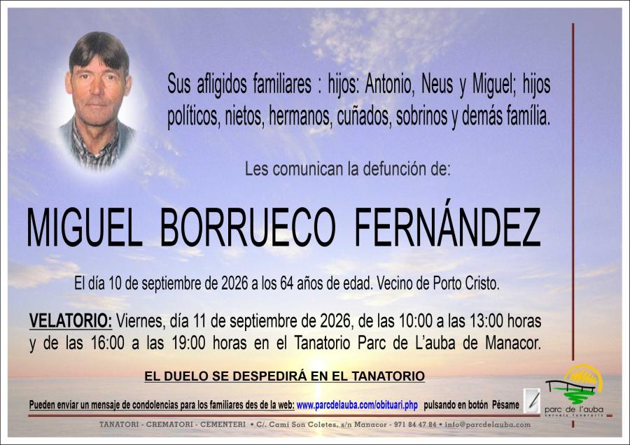MIGUEL BORRUECO FERNÁNDEZ